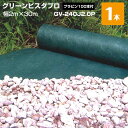 グリーンビスタプロ 1本 プラピン100本付 GV-240J2.0P 30m デュポン 砂利下 防草シート ザバーン 緑 沈下防止