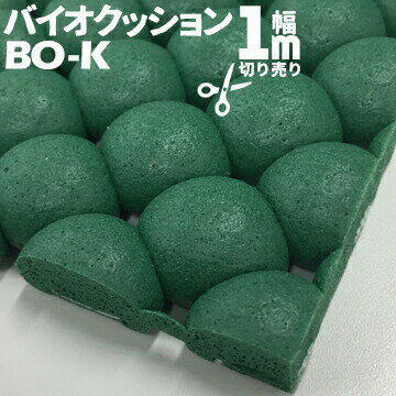 楽天市場】バイオクッションの通販 楽天市場】バイオクッションの通販