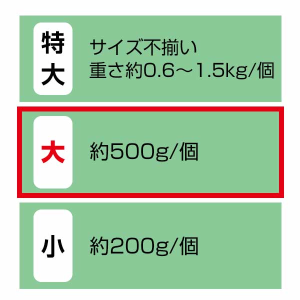 【エントリーでポイント7倍!6/4 20時~】園芸用コルクバージンコルクディスプレイ ...
