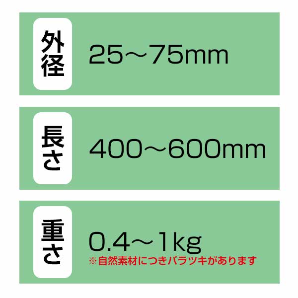 園芸用コルク枝分かれコルク 外径25～75mm×長さ400～600mm 重量0.4～1kg 約5kg（7～12本） 園芸花材用 養生ラン演出用 天然素材 2