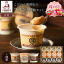  丸福珈琲店 母の日 プリン3種 名物プリン＆珈琲プリン＆ミックスジューシープリン スイーツ プレゼント