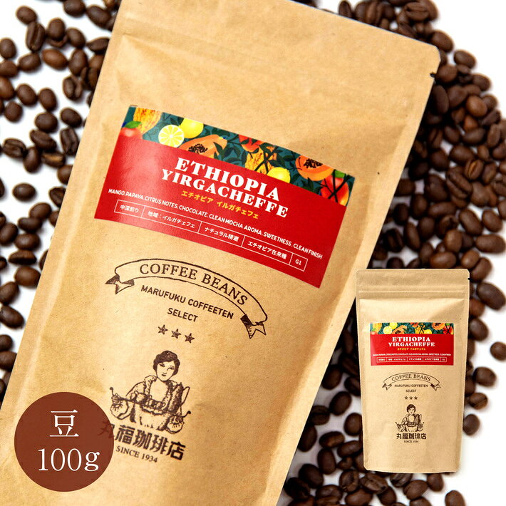 丸福珈琲店 期間限定 コーヒー豆 100g 珈琲 エチオピア・イルガチェフェ 中深煎り 期間限定