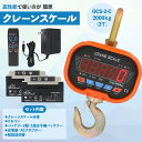 標準分銅　E-2級　100g　【あす楽】【アズワン】