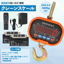 【クレーンスケール本舗 正規品 OCS-3-C】3T 3000kg デジタルクレーンスケール ホイストスケール 吊秤 吊りはかり 【送料無料】保証対象 安心の実...