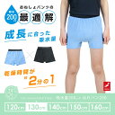 おねしょパンツ 小学生 男の子 130 大きいサイズ おねしょ 対策 ボクサーパンツ 夜尿症 はれパン 200cc 吸水 尿漏れ 尿もれ 下着 トイトレ 日本製...