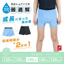 おねしょパンツ 小学生 男の子 140 大きいサイズ おねしょ 対策 ボクサーパンツ 夜尿症 はれパン 200cc 吸水 尿漏れ 尿もれ 下着 トイトレ 日本製 速乾 セパレート型 保水パンツ | メール便送料無料