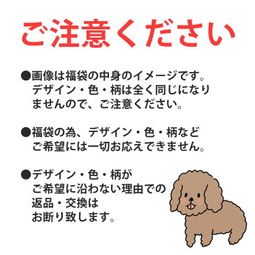 おまかせトレパン　トレーニングパンツ福袋　デザイン柄は選べないけど枚数お得な3層 80cm 4枚組 男の子用おねしょパンツ　トイレトレーニング 　マジェンタ