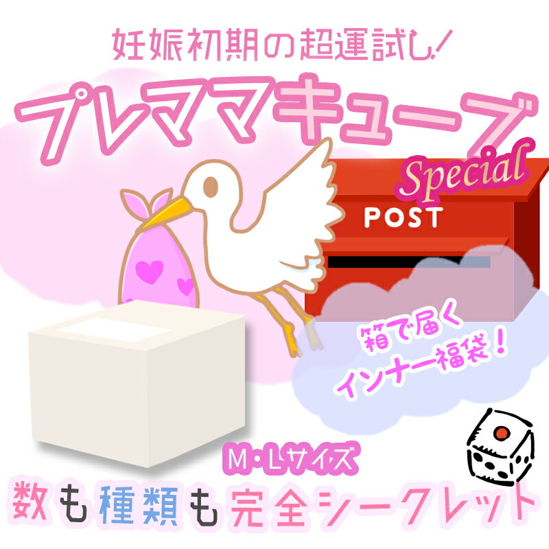 【M・L】15点入り！妊娠初期から使える福箱 「 プレママキューブSpecial」マタニティ 福袋 肌着 下着 授乳クッション パジャマ 産褥ショーツ ショーツ ブラ インナー 妊婦 出産 妊娠初期 プレママ