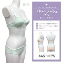 パターンメッシュブラ&ショーツセット 3/4カップ ピンク ミント ブラジャー ジュニア レディース ショーツ 上下 子供 下着 インナー ブラ 小学 中学 高校