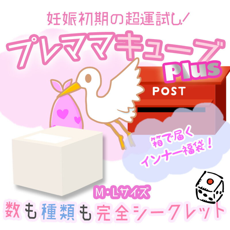【M・L】15点入り！妊娠初期から使える福箱 「 プレママキューブPlus」マタニティ 福袋 肌着 下着 産褥ショーツ ショーツ ブラ インナー 妊婦 出産 妊娠初期 プレママ　マタニティ インナー 新生児 服 の店 magenta