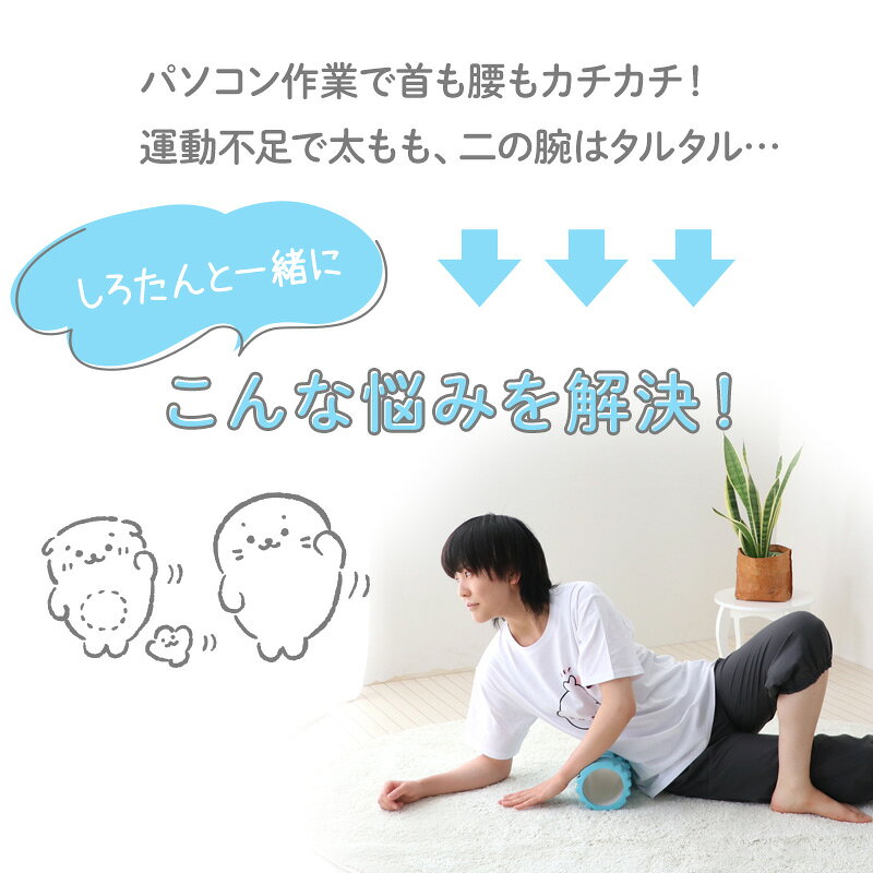 しろたん ごろごろローラーボディ 筋膜 マッサージ ヘルスケア トレーニング エクササイズ フィットネス ダイエット ローラー アザラシ あざらし かわいい キャラクター らっこいぬ プレゼント ギフト 実用的 マザーガーデン ｜セール SALE 値下げ mg-mail-10026641 マザーガーデン サンプル画像2