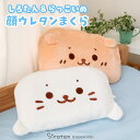 しろたん 顔ぼん まくら 枕 29cm×43cm 《しろたん らっこいぬ》レディース キッズ 子供 まくら ピロー 寝具 ベッド オールシーズン 新生活 あざら...