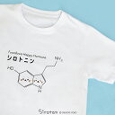 Tシャツ しろたん 《シロトニン》 半袖 白色 S/M/L/XL レディース メンズ ユニセックス 男女兼用 カジュアル あざらし アザラシ かわいい ゆるキャラ キャラクター プレゼント ギフト マザーガーデン
