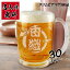 クリスマス ビアマグ 名入れ マグ 名前入り ビールジョッキ 食洗器対応 ビールグラス おしゃれ プレゼント 男性 女性 名前入れ ビアグラス ギフト ビール コップ 祝い 友達 父 母 内祝い 名入れ ビアマグ 360ml 誕生日 記念 還暦 2,980円