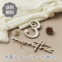 ≪マラソン期間最大2000円オフクーポン≫レターバナー 木製【15枚set】木製レターバナー ニューボーンフォト 月齢フォト マタニティフォト マンスリー カー...