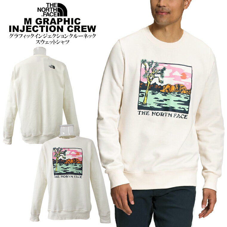 THE NORTH FACE ノースフェイスグラフィックインジェクションクルーネックスウェットシャツnorth/m/newUSモデル アメカジM GRAPHIC INJECTION CREWプリント 丸首 メンズトップス ストリート