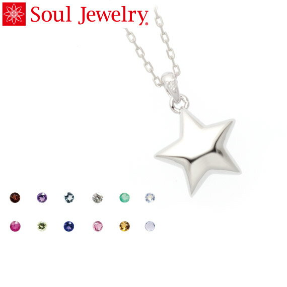 遺骨ペンダント Soul Jewelry スター シルバー925　11種類の誕生石から選べます （予定納期約4週間）