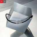 遺骨ペンダント Soul Jewelry ファイテンコラボレーション オリオン