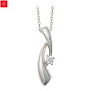 遺骨ペンダント Soul Jewelry ミルキーウェイ プラチナ900 ソウルジュエリー