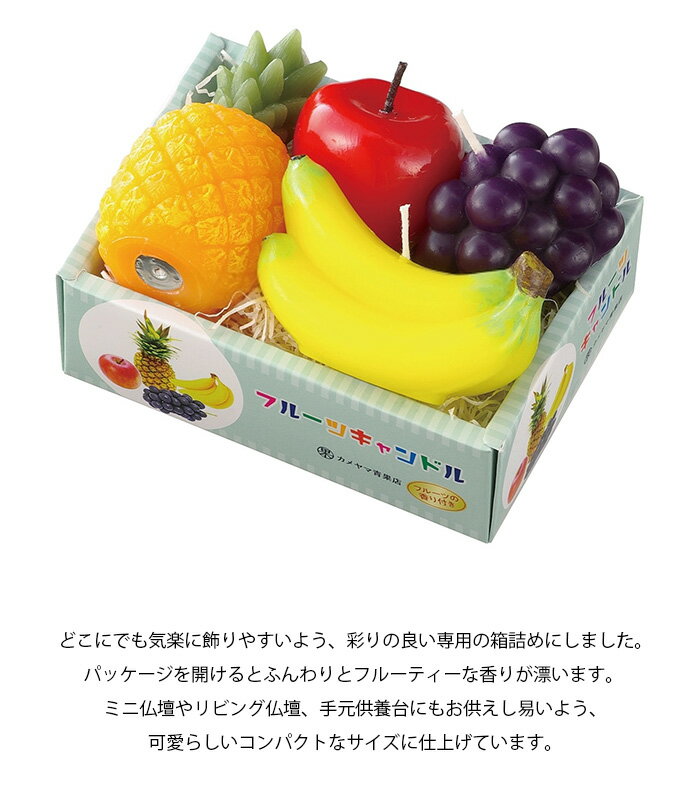 【8月10日限定ポイント5倍】 パール金属 コンパクトマスクケース グリーン E-3729 ワコートレーディング