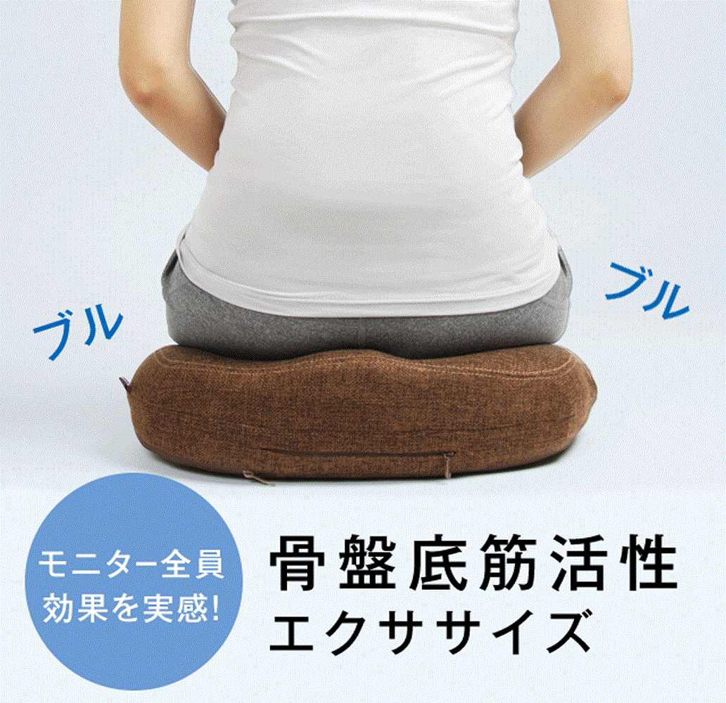 PROIDEA （プロイデア） 骨盤底筋エクササイズクッション キュットブル骨盤底筋 エクササイズ 尿漏れ ..