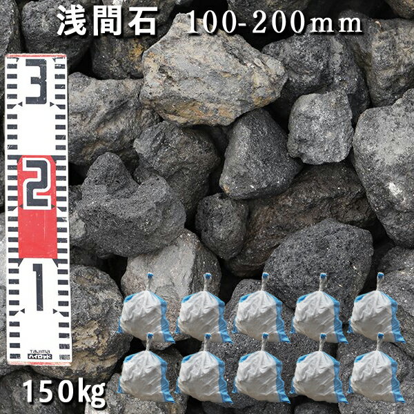 庭石 ロックガーデン浅間石（100～20
