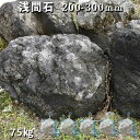 庭石 ロックガーデン浅間石（200～300mm）3～5個入り5袋（約75kg）ガーデンロック ガーデニング おしゃれDIY 花壇 造園 ガビオン 砕石 土留め 池割栗石　溶岩　アクアリウム