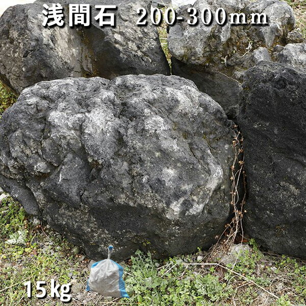 庭石 ロックガーデン浅間石（200～30