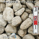 庭石 ゴロタ石 自然石 ごろた伊勢ゴロタ石(100〜150mm)1袋(約20kg)ガーデンロック ガーデニング おしゃれDIY 花壇 造園 ガビオン 砕石 土留...