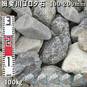 庭石 ゴロタ石 自然石 川石 玉石 ごろた揖斐川ゴロタ石(100-200mm)5袋セット/計約100kgガーデンロック ガーデニング おしゃれDIY 花壇 造園...