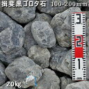 庭石 ゴロタ石 自然石 川石 玉石 ごろた揖斐黒ゴロタ石(100-200mm)1袋(約20kg)ガーデンロック ガーデニング おしゃれDIY 花壇 造園 ガビオ...