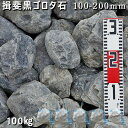 庭石 ゴロタ石 自然石 川石 玉石 ごろた揖斐黒ゴロタ石(100-200mm)5袋セット/計約100kgガーデンロック ガーデニング おしゃれDIY 花壇 造園 ガビオン 砕石 土留め 池ロックガーデン 割栗石