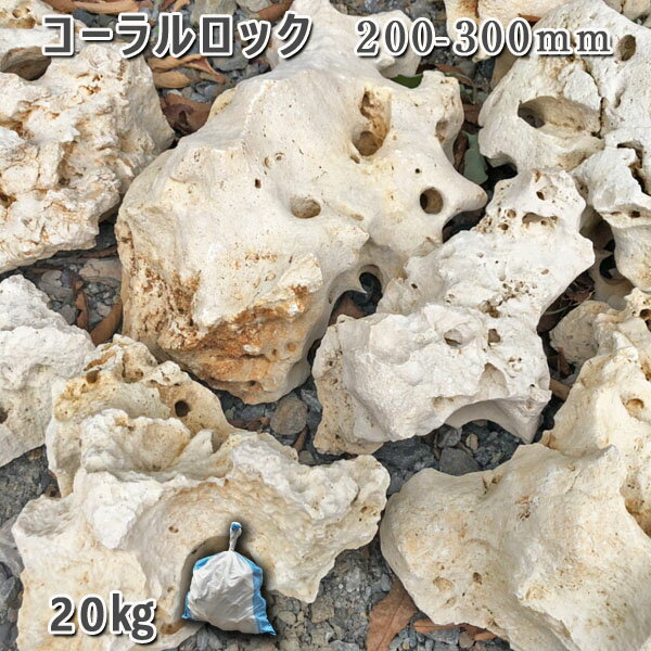 庭石 珊瑚石 自然石コーラルロック