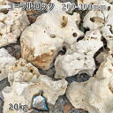 庭石 珊瑚石 自然石コーラルロック(200〜300mm)1〜2個入り1袋(約20kg)ガーデンロック ガーデニング おしゃれDIY 花壇 造園 ガビオン 砕石 ...