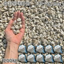 庭 砂利 石庭 庭石 化粧砂利 国産砂利白川砂利5分(13-21mm)10袋セット/計約200kg砂利 シ゛ャリ おしゃれ 和風 洋風 ガーデニング 園芸 DI...