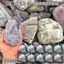 庭石 ゴロタ石 自然石 川石 紅簾石紅簾(すだれ)ごろた石(100〜200mm)10袋セット/計約200kgガーデンロック ガーデニング おしゃれDIY 花壇 ...