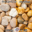 砂利 石庭 庭石 化粧砂利キャメルぺブル L(40-60mm)5袋セット/計約100kg法人宛 又は 個人様支店止め代引・時間指定不可砂利 シ゛ャリ おしゃれ ...