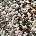 砂利 石庭 庭石 化粧砂利天然本五色石 3分（11-16mm）10袋セット/計約200kg法人宛 又は 個人様支店止め代引・時間指定不可敷き砂利 花壇 アクアリウム テラリウム ビオトープ 池