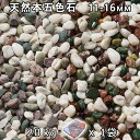 砂利 石庭 庭石 化粧砂利天然本五色石 3分(11-16mm) 1袋(約20kg)法人宛 又は 個人様支店止め代引・時間指定不可敷き砂利 花壇 アクアリウム テ...