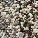 砂利 石庭 庭石 化粧砂利天然本五色石 3分(11-16mm)5袋セット/計約100kg法人宛 又は 個人様支店止め代引・時間指定不可砂利 シ゛ャリ おしゃれ ...