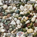 砂利 石庭 庭石 化粧砂利天然本五色石 5分(15-23mm)5袋セット/計約100kg法人宛 又は 個人様支店止め代引・時間指定不可敷き砂利 花壇 アクアリウ...