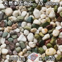 砂利 石庭 庭石 化粧砂利天然本五色石 5分（15-23mm）10袋セット/計約200kg法人宛 又は 個人様支店止め代引・時間指定不可敷き砂利 花壇 アクアリウム テラリウム ビオトープ 池