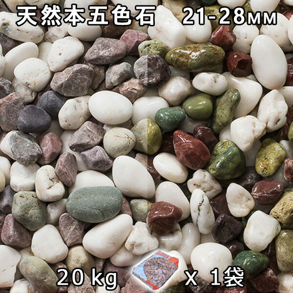 砂利 石庭 庭石 化粧砂利天然本五色石 小（21-28mm） 1袋（約20kg）法人宛 又は 個人様支店止め代引・時間指定不可敷き砂利 花壇 アクアリウム テラリウム ビオトープ 池