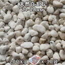 砂利 石庭 庭石 化粧砂利天然白玉石 小（21-28mm）10袋セット/計約200kg法人宛 又は 個人様支店止め代引・時間指定不可砂利 ジャリ おしゃれ 和風 洋風 ガーデニング 園芸 DIY敷き砂利 花壇 アクアリウム テラリウム ビオトープ 池