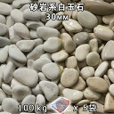 砂利 石庭 庭石 化粧砂利砂岩系白玉石(30mm)5袋セット/計約100kg法人宛 又は 個人様支店止め代引・時間指定不可敷き砂利 花壇 アクアリウム テラリウ...