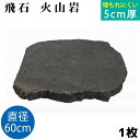 飛び石 火山岩 Φ600x厚50mm内外 1枚(約34.4kg)法人宛 又は 個人様支店止め飛石 ステップストーン 庭石 エクステリア アクセント天然石 ランド...