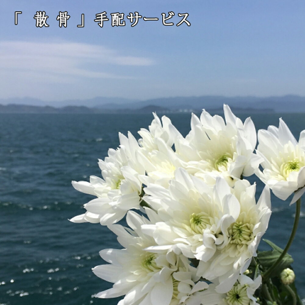 散骨「わがやのおはか」に入りきらなかったお骨を海にお還しします。手元供養　サポート　手配