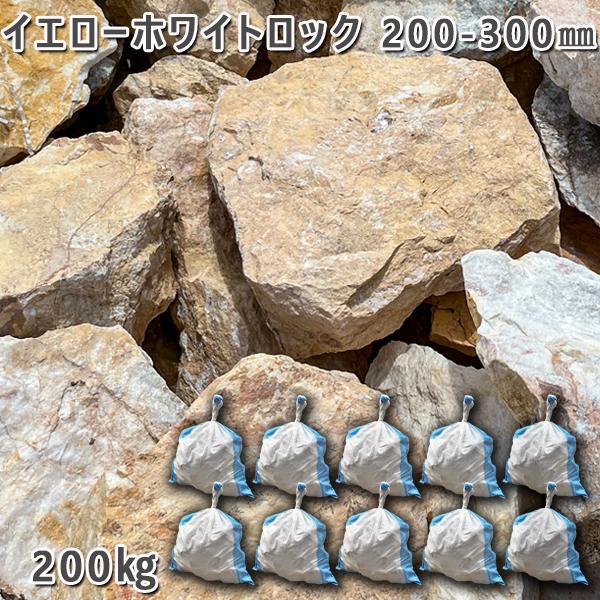  ䷪ ŷ åǥ ۥ磻ȥå200300mm1310ޥå/200kgǥå ǥ˥ ...