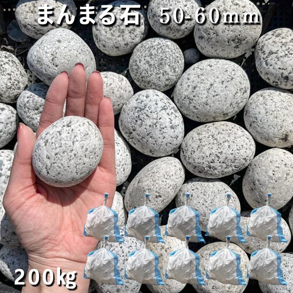 庭石 割栗石 砕石 御影石まんまる石（50〜60mm）10袋セット/計約200kgストーンペイント ストーンアート..
