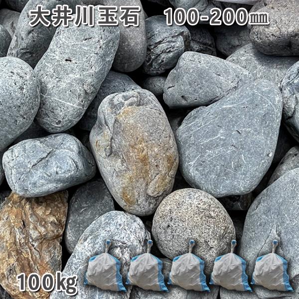 庭石 自然石 国産石 川石 大井川玉石（100〜200mm）5袋セット/計約100kgガーデンロック ガーデニング ..